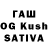 Псилоцибиновые грибы Psilocybine cubensis Mark Kungurov