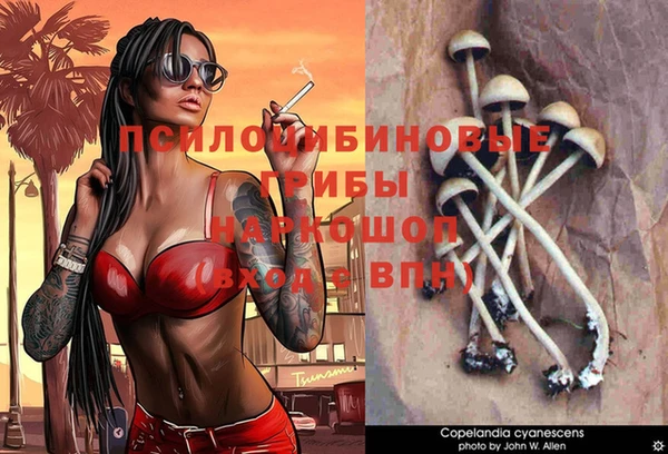 спиды Алзамай