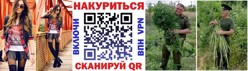 Конопля Ganja  Абакан 